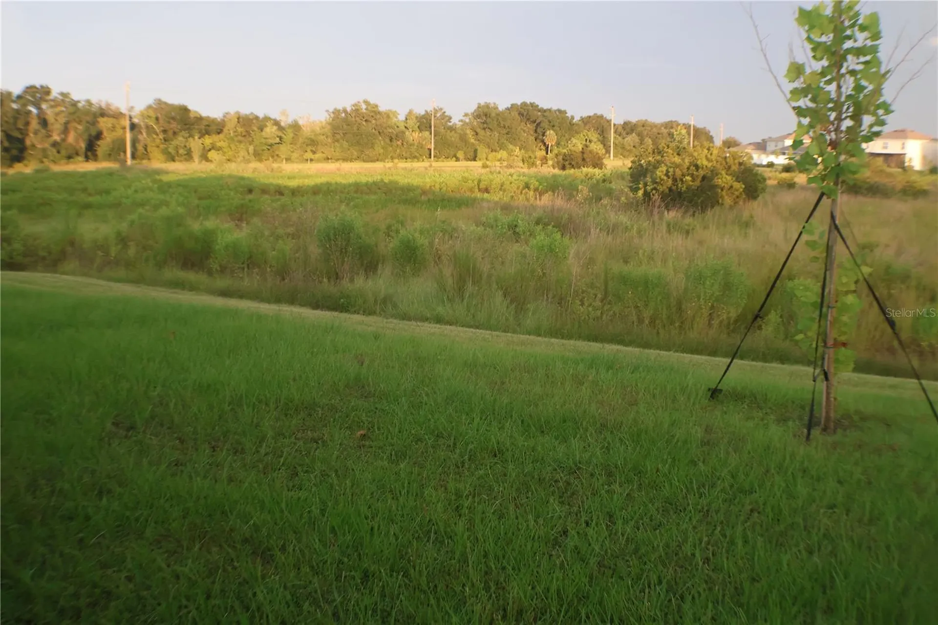 2638 Galway Grove Way Lakeland FL 33811