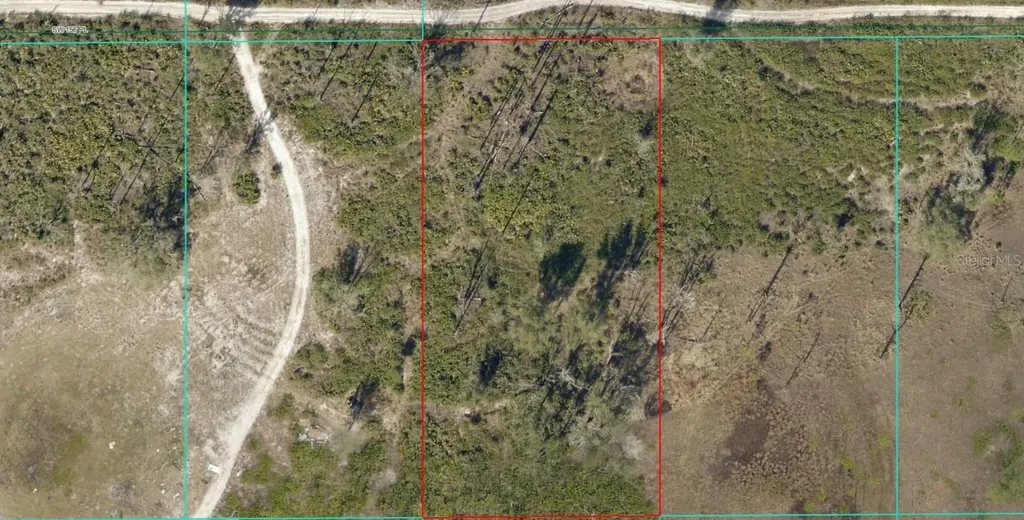 Tract 343 SW 156th Place Dunnellon FL 34432