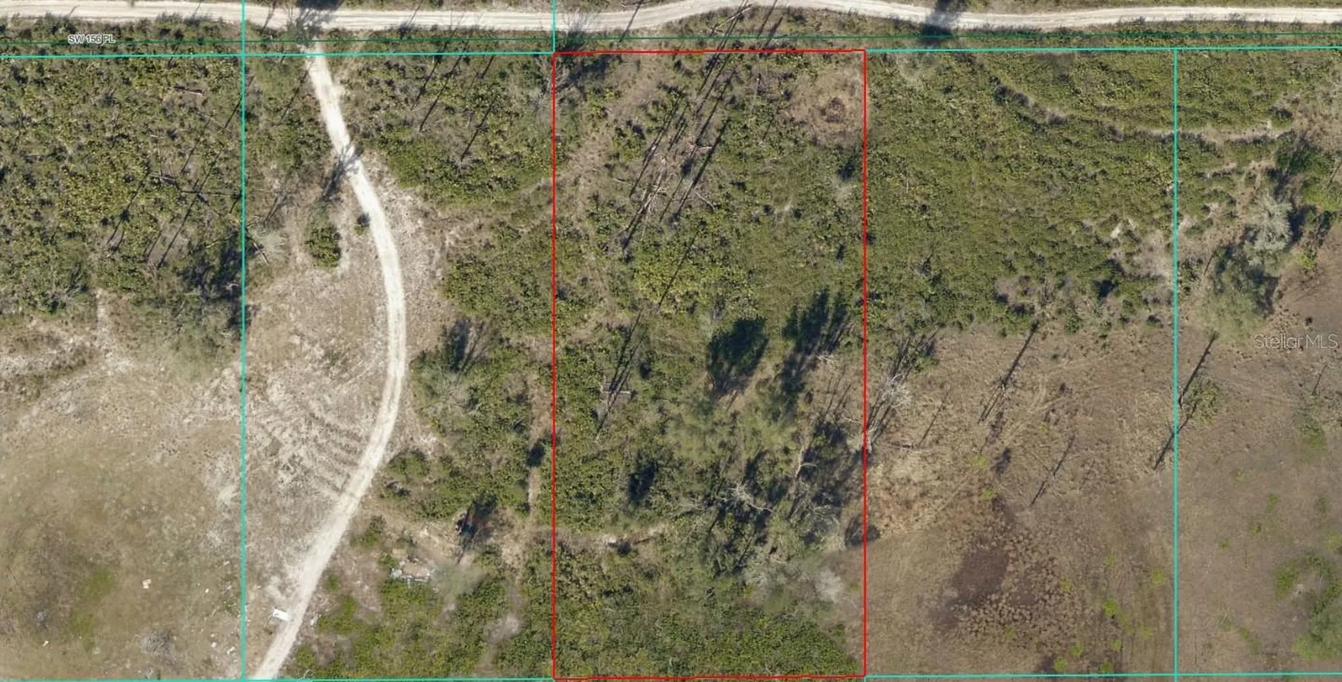 Tract 343 SW 156th Place Dunnellon FL 34432