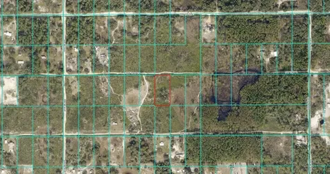 Tract 343 SW 156th Place Dunnellon FL 34432