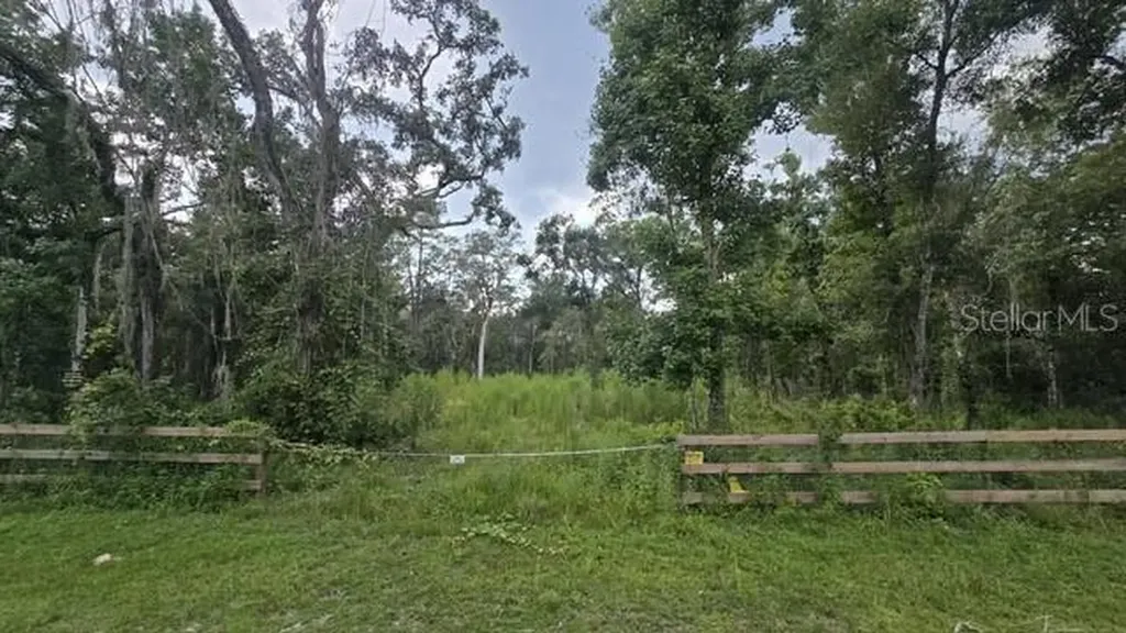 Table Rock Drive Webster FL 33597