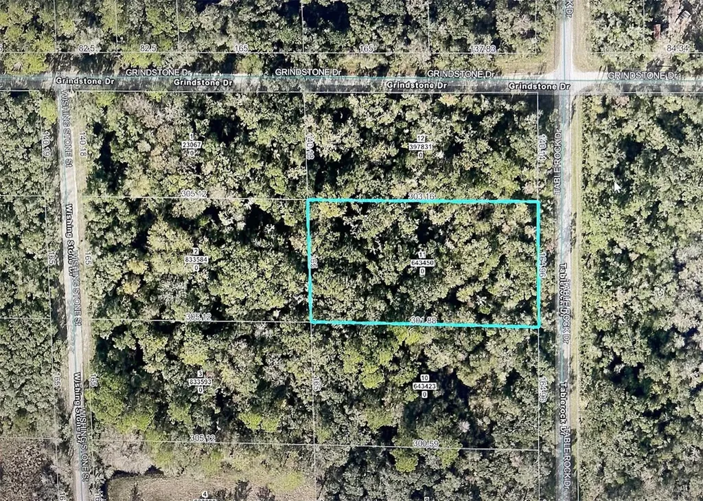 Table Rock Drive Webster FL 33597