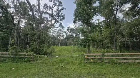 Table Rock Drive Webster FL 33597