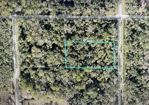 Table Rock Drive Webster FL 33597