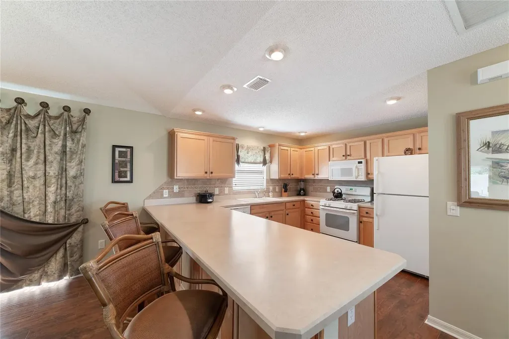 1497 Alexandria Place The Villages FL 32162