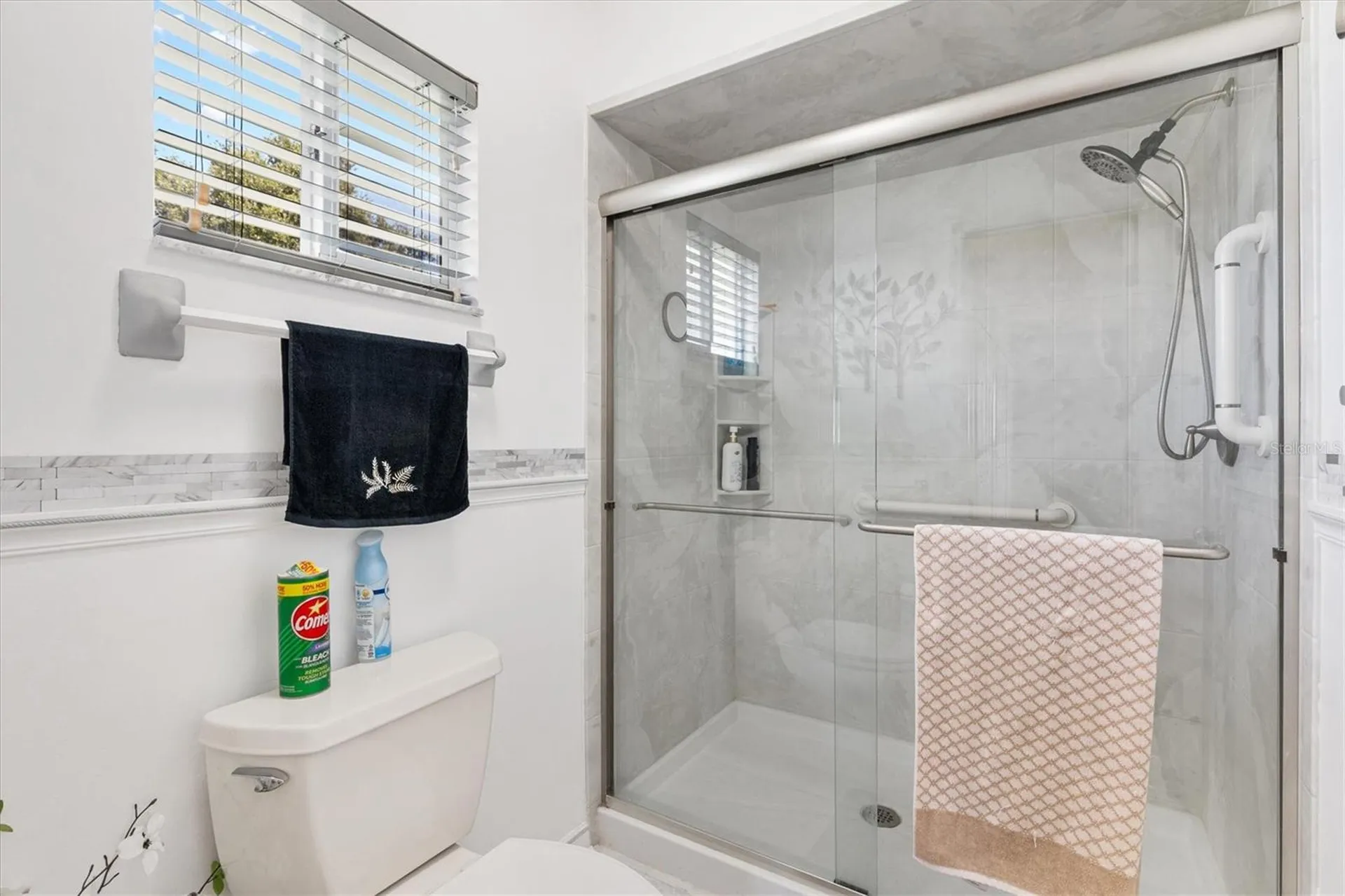 9667 SE 173rd Lane Summerfield FL 34491
