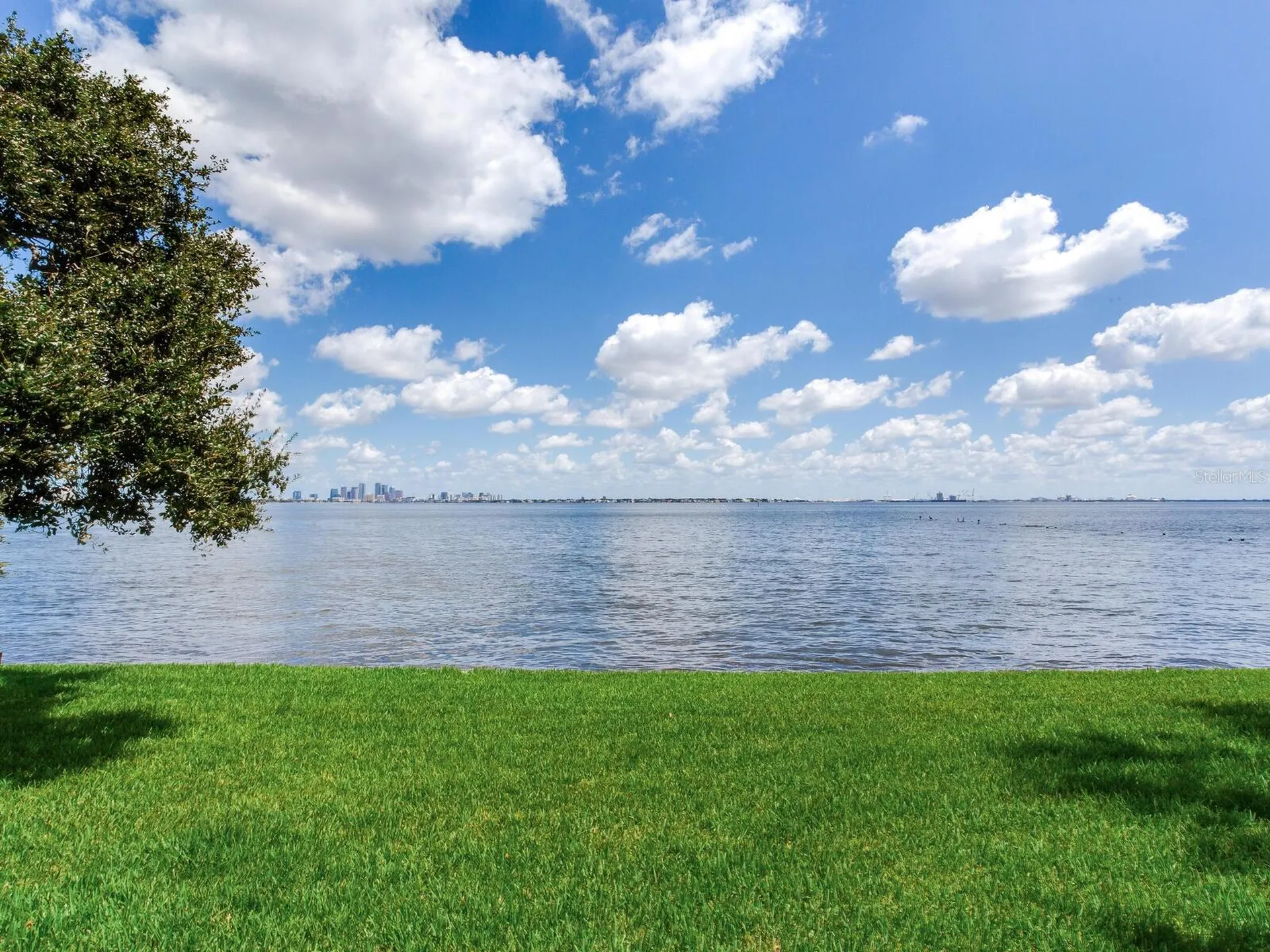 5010 Bayshore Boulevard Tampa FL 33611