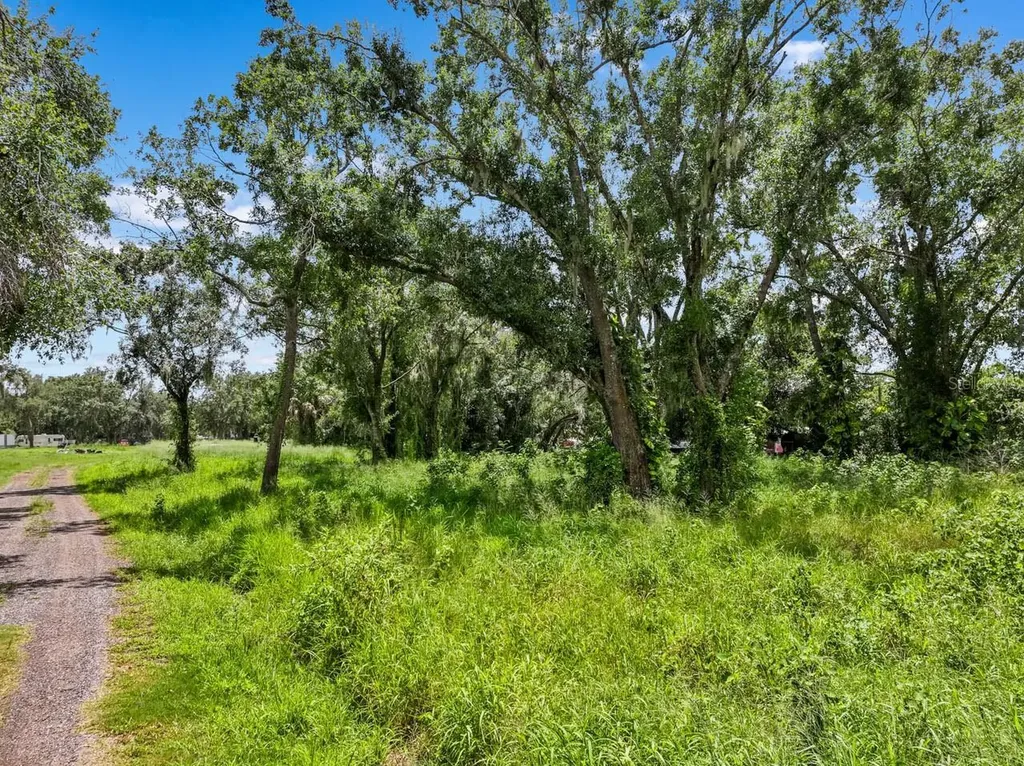 5523 Janes Wimauma FL 33598