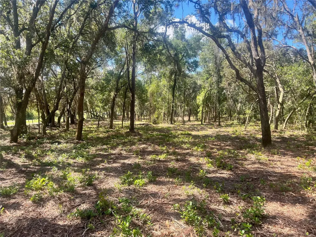 2 Sendcastle Drive Groveland FL 34736
