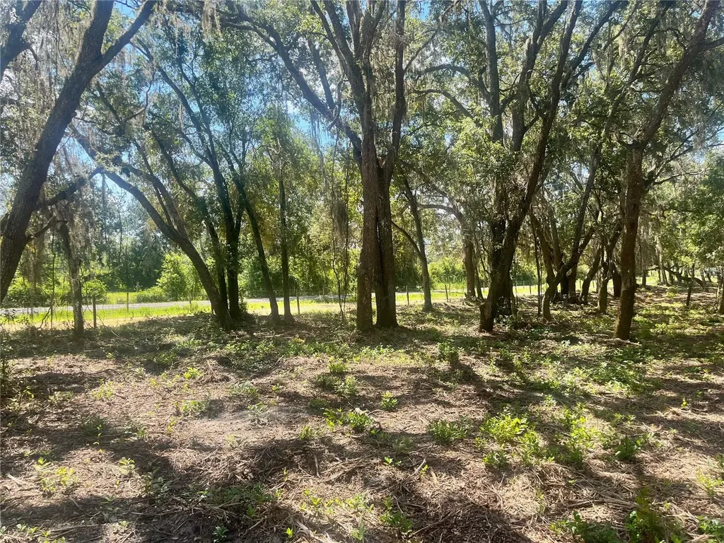 2 Sendcastle Drive Groveland FL 34736