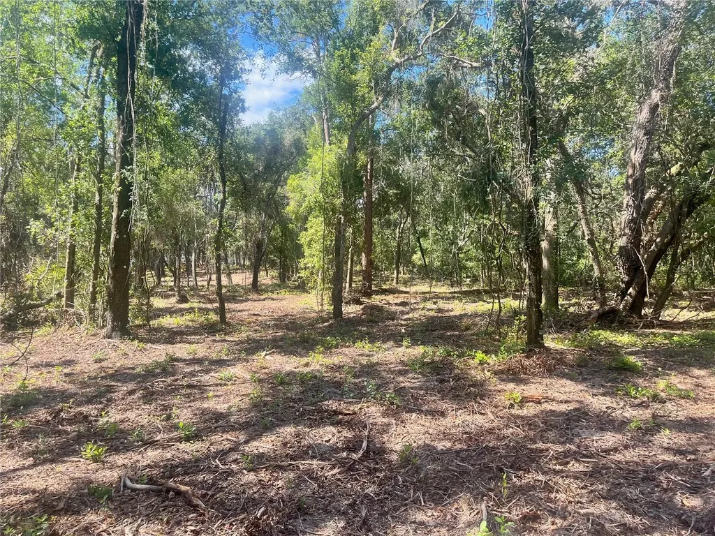 2 Sendcastle Drive Groveland FL 34736