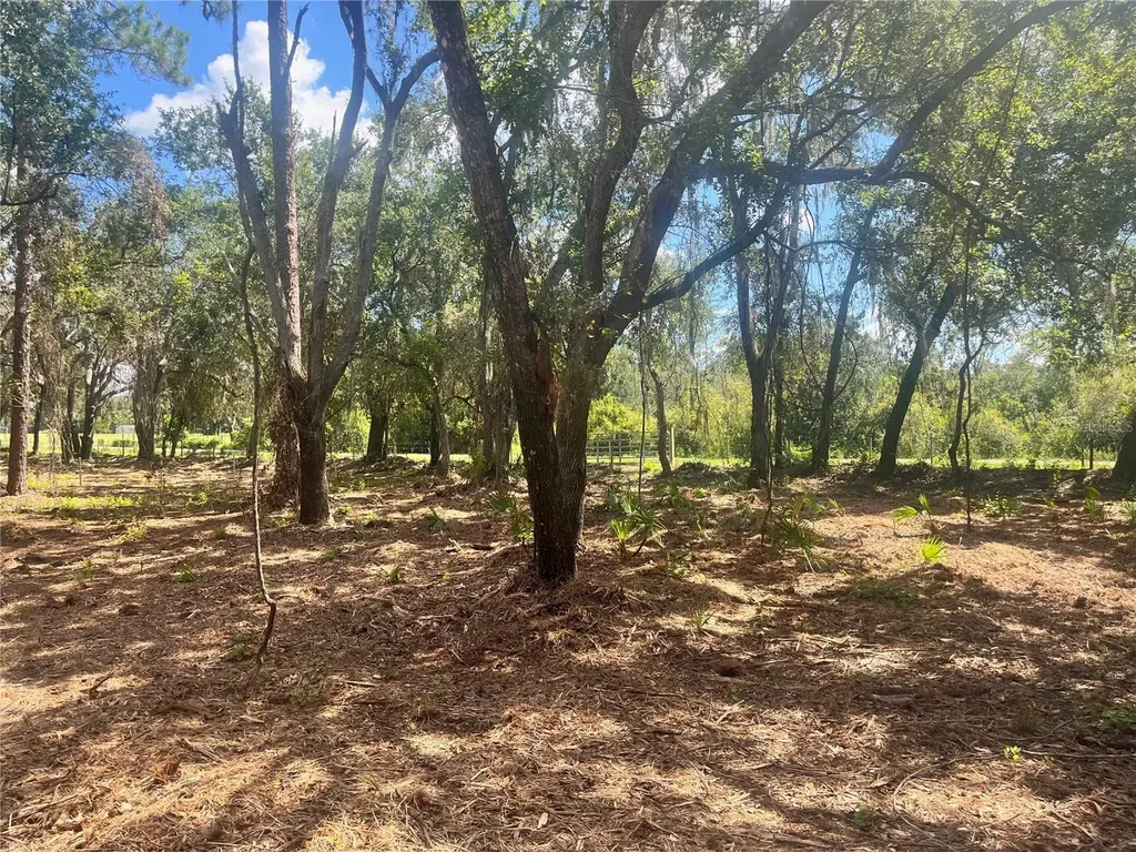 2 Sendcastle Drive Groveland FL 34736