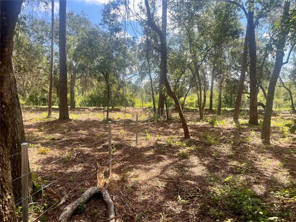 2 Sendcastle Drive Groveland FL 34736