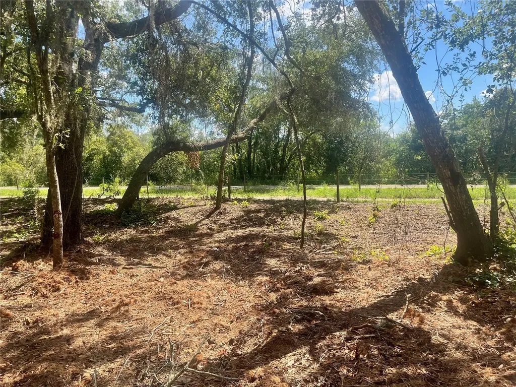 2 Sendcastle Drive Groveland FL 34736