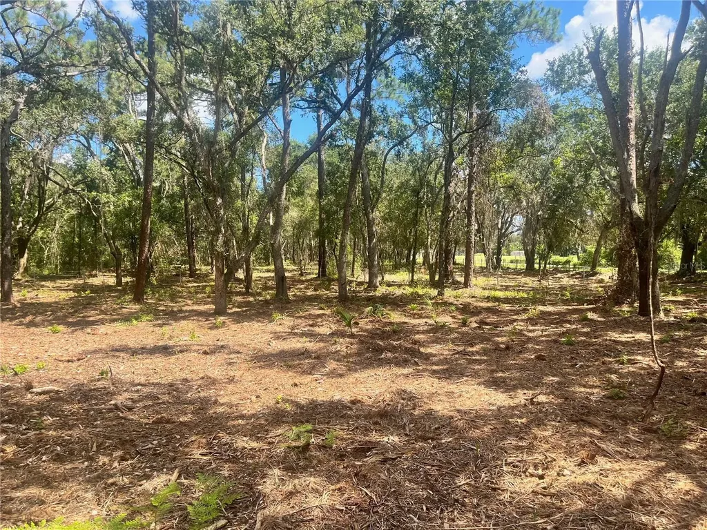 2 Sendcastle Drive Groveland FL 34736