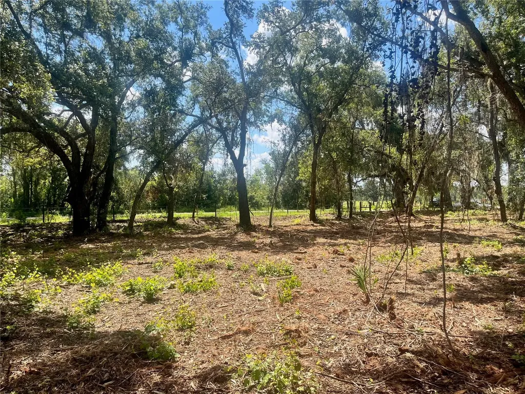 2 Sendcastle Drive Groveland FL 34736