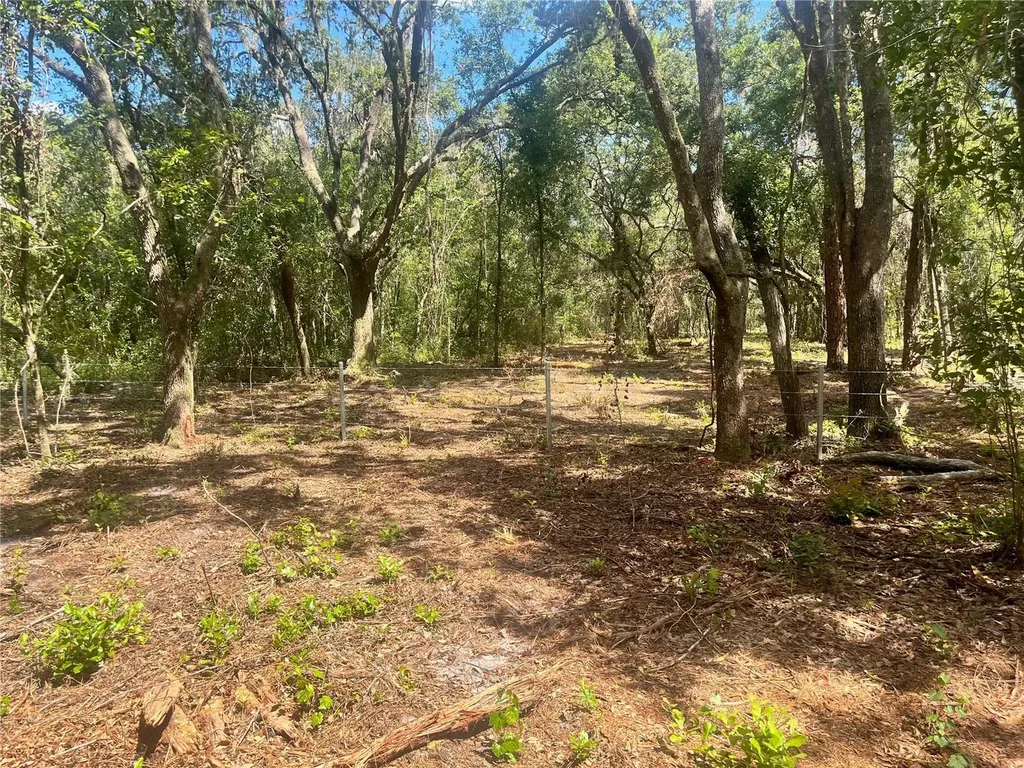 2 Sendcastle Drive Groveland FL 34736