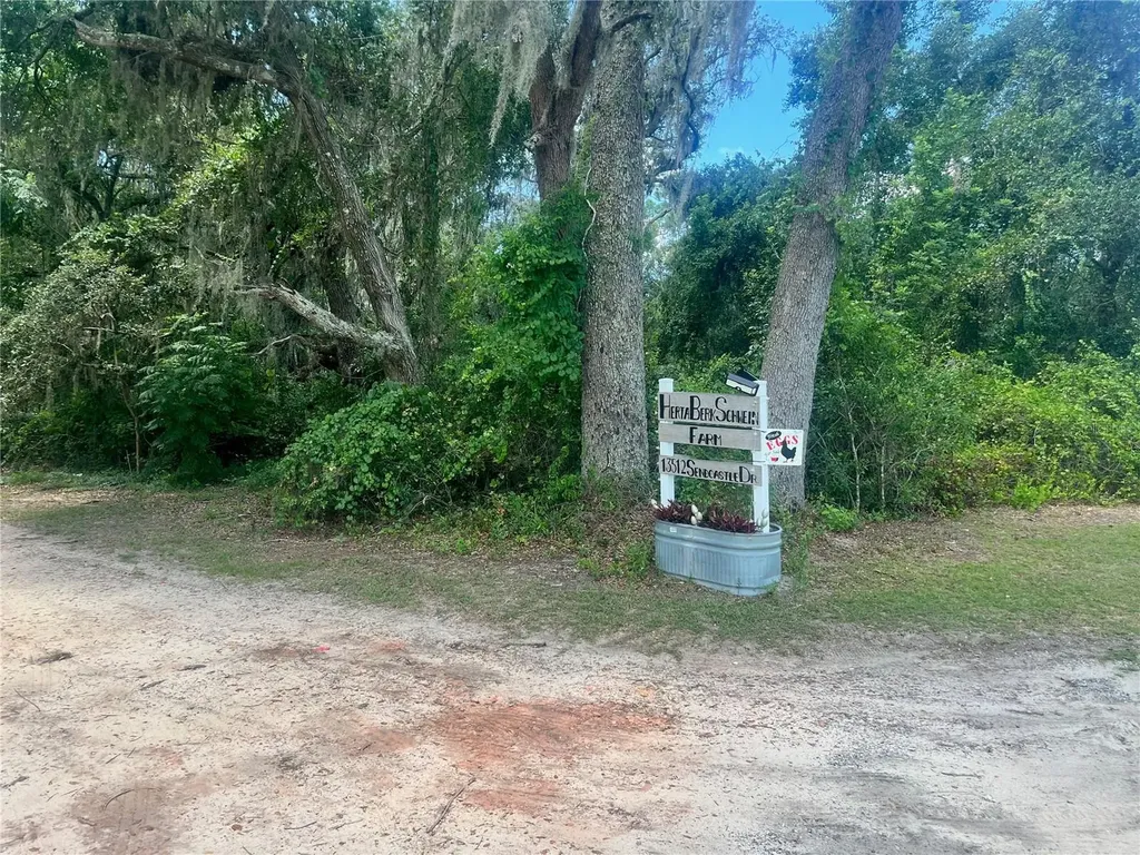 2 Sendcastle Drive Groveland FL 34736