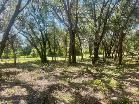 2 Sendcastle Drive Groveland FL 34736