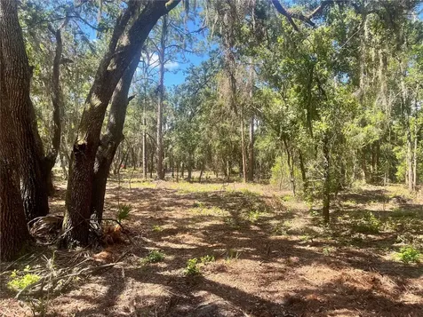 2 Sendcastle Drive Groveland FL 34736