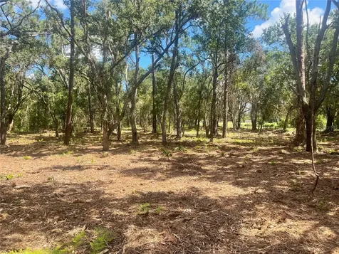 2 Sendcastle Drive Groveland FL 34736