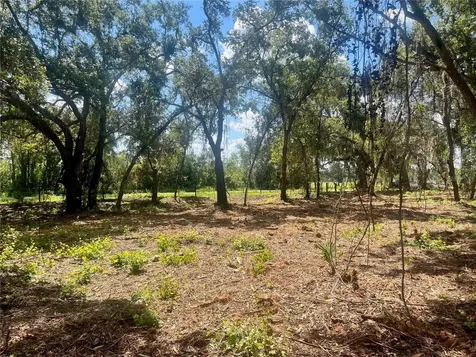 2 Sendcastle Drive Groveland FL 34736
