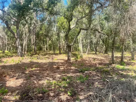 2 Sendcastle Drive Groveland FL 34736