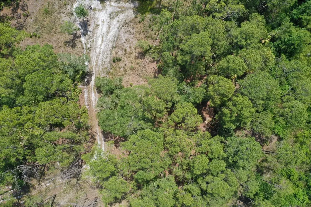 SW 75th Street Cedar Key FL 32625