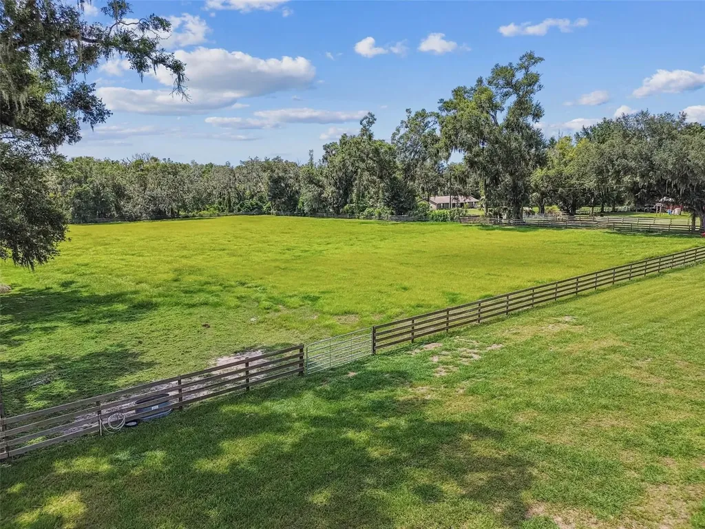 1517 Uncle Buds Lane Lithia FL 33547