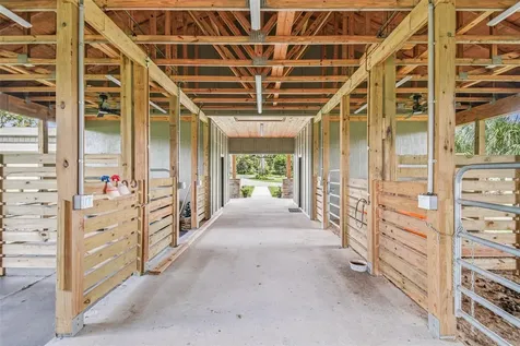 1517 Uncle Buds Lane Lithia FL 33547