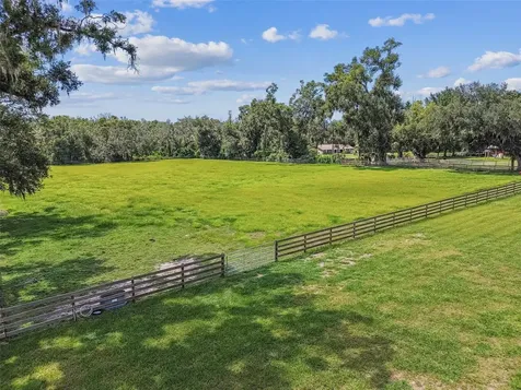 1517 Uncle Buds Lane Lithia FL 33547