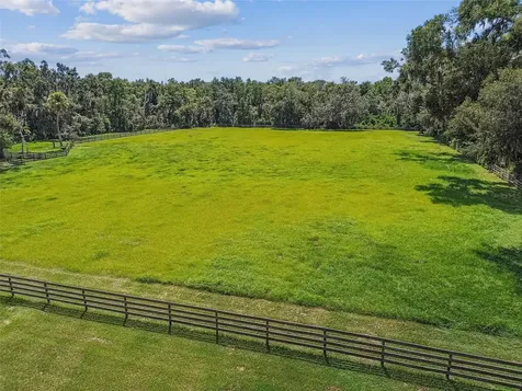 1517 Uncle Buds Lane Lithia FL 33547