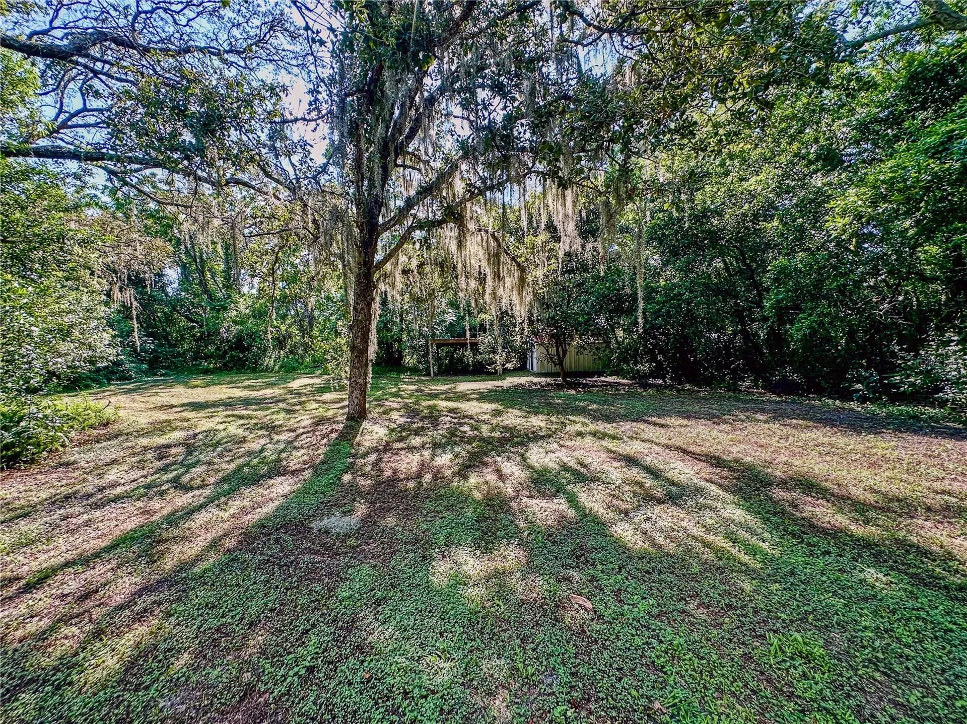 13103 Grassy Lane Hudson FL 34669