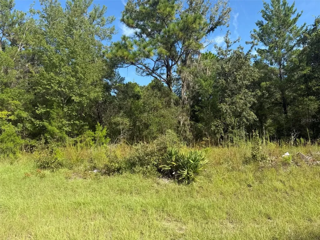 79TH Terrace Road Dunnellon FL 34432