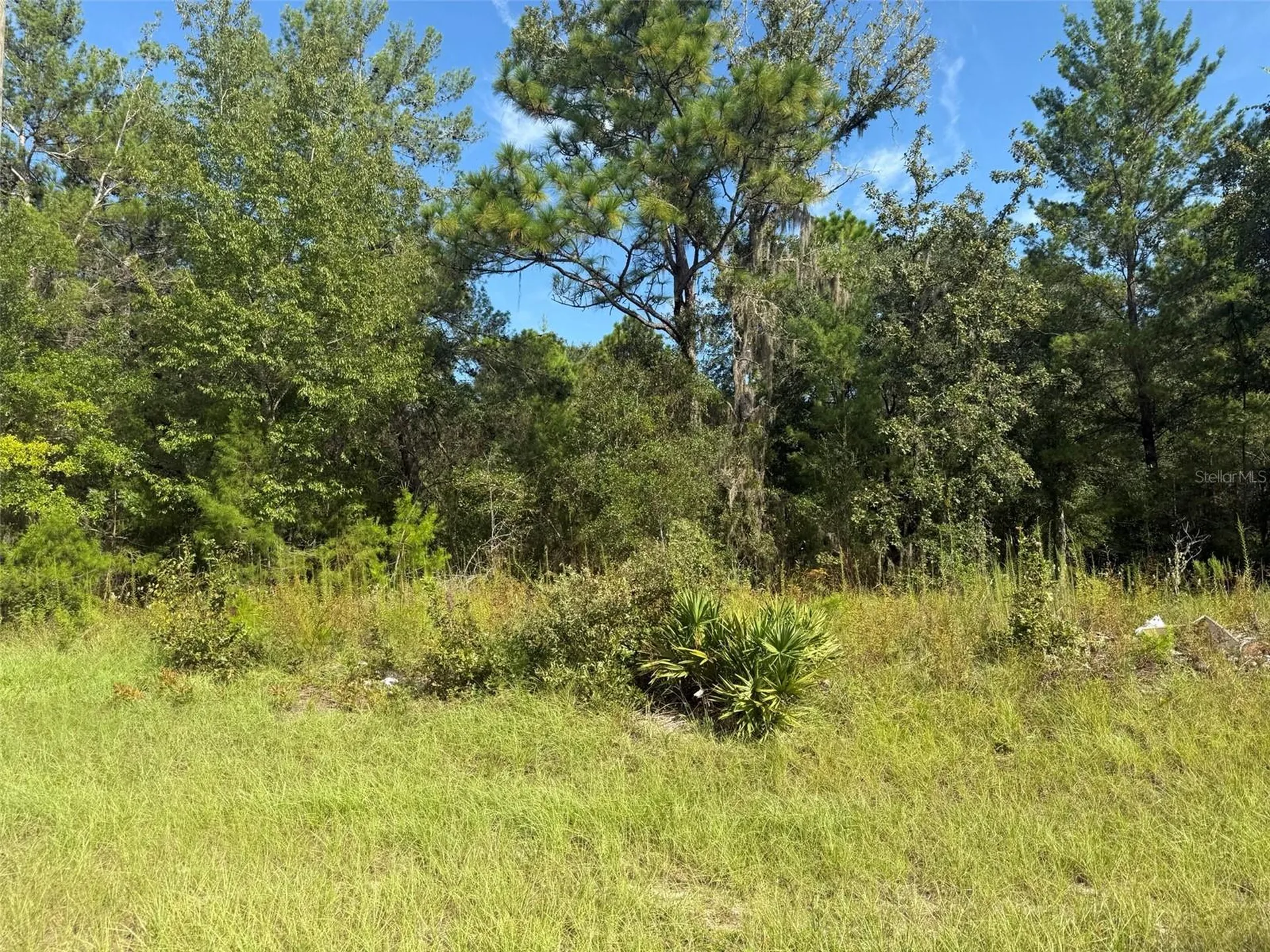 79TH Terrace Road Dunnellon FL 34432