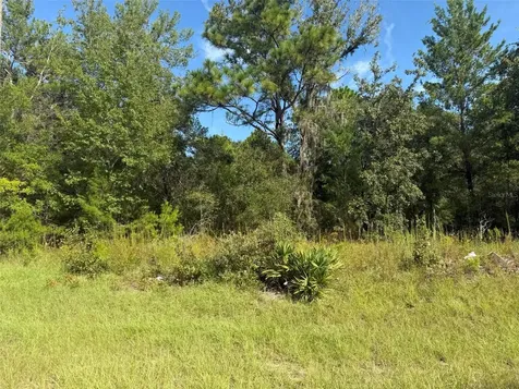 79TH Terrace Road Dunnellon FL 34432
