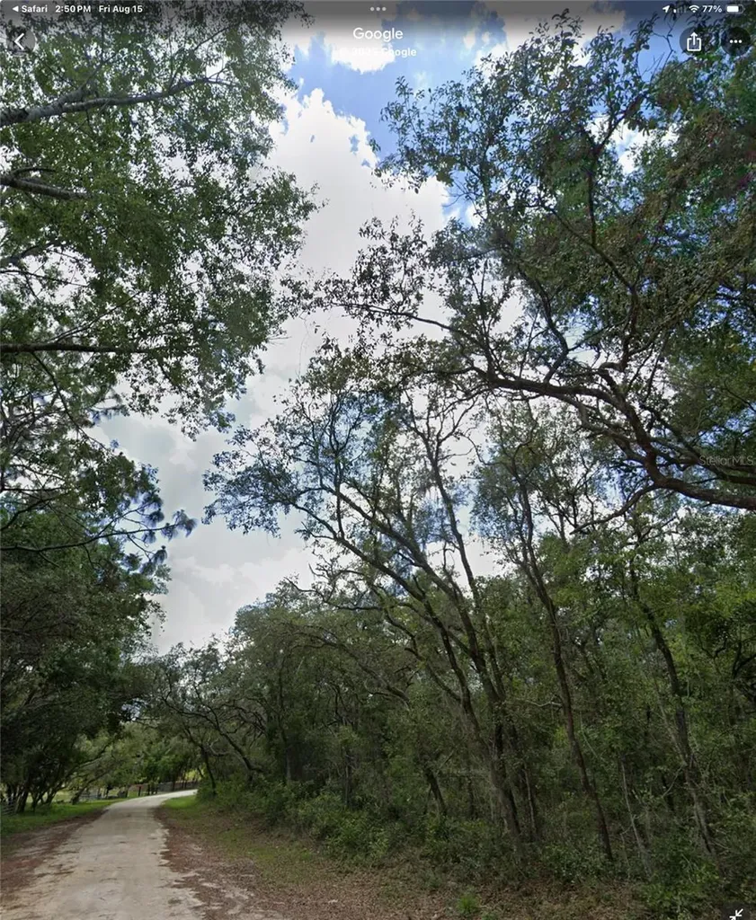 34245 Berryhill Drive Webster FL 33597
