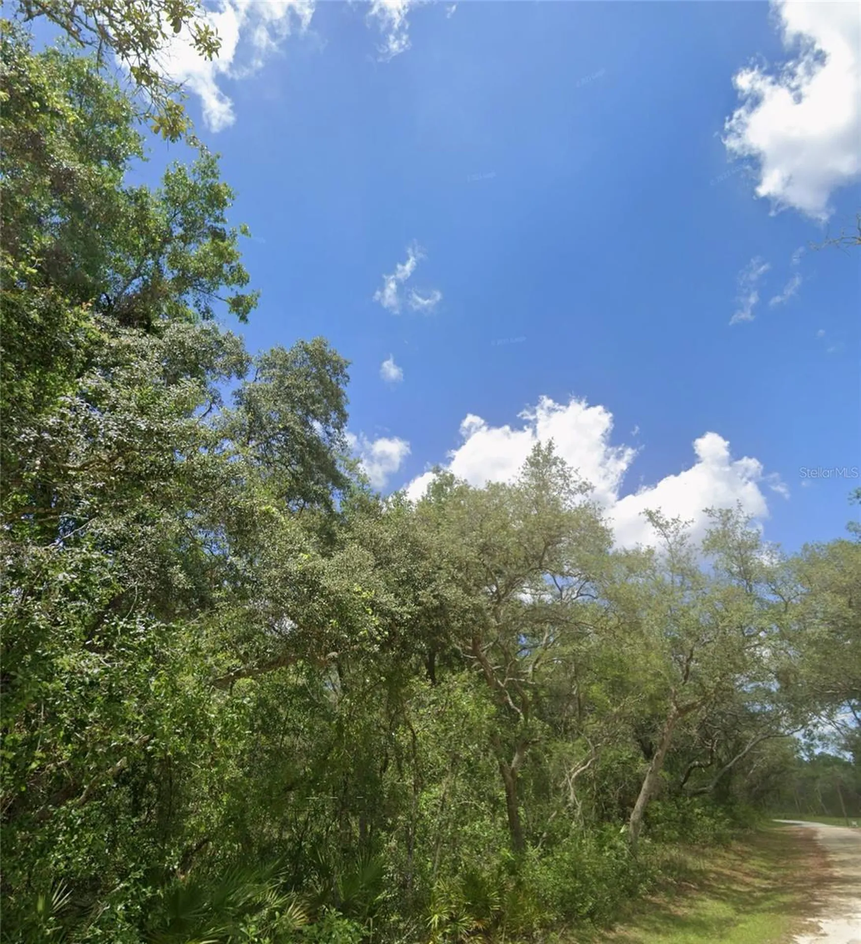 34245 Berryhill Drive Webster FL 33597
