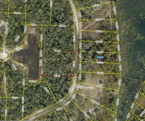 34245 Berryhill Drive Webster FL 33597