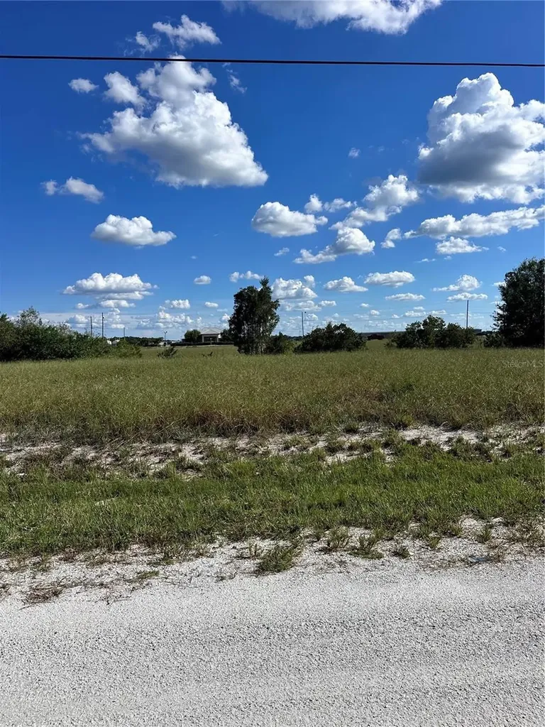 1669 W Fondulac Road Avon Park FL 33825