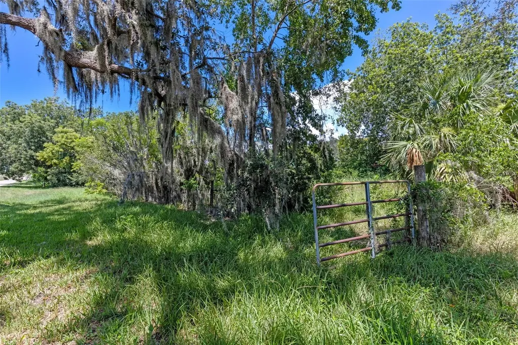8TH Street Montverde FL 34756