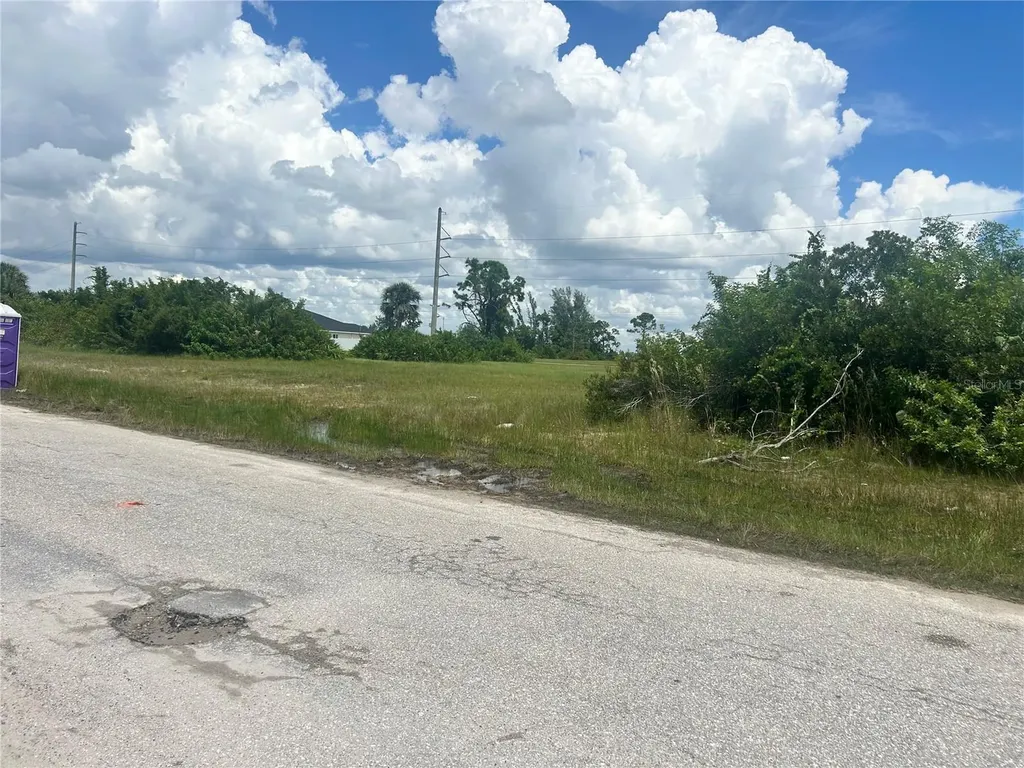 1219 NW 24th Place Cape Coral FL 33993