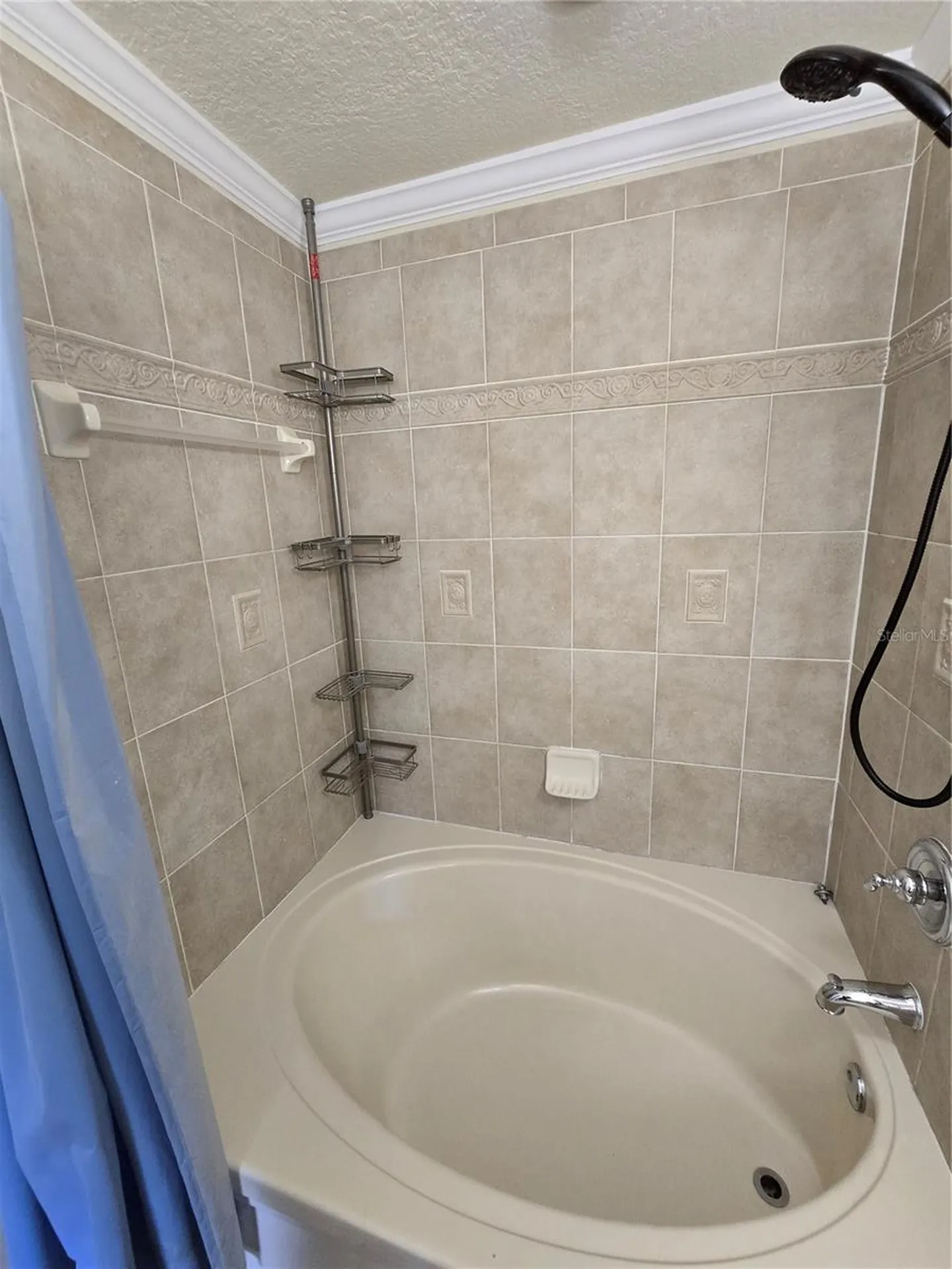 6262 Maisie Road Zephyrhills FL 33542