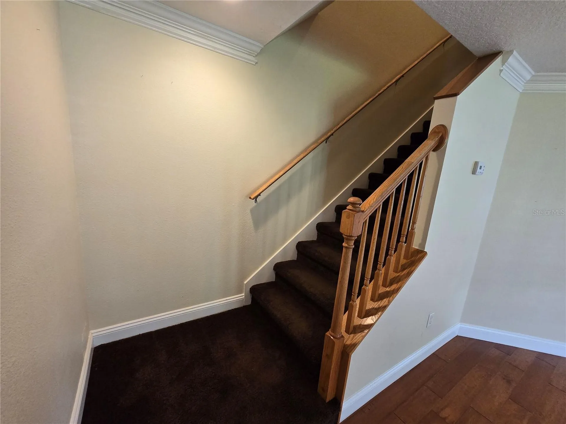 6262 Maisie Road Zephyrhills FL 33542