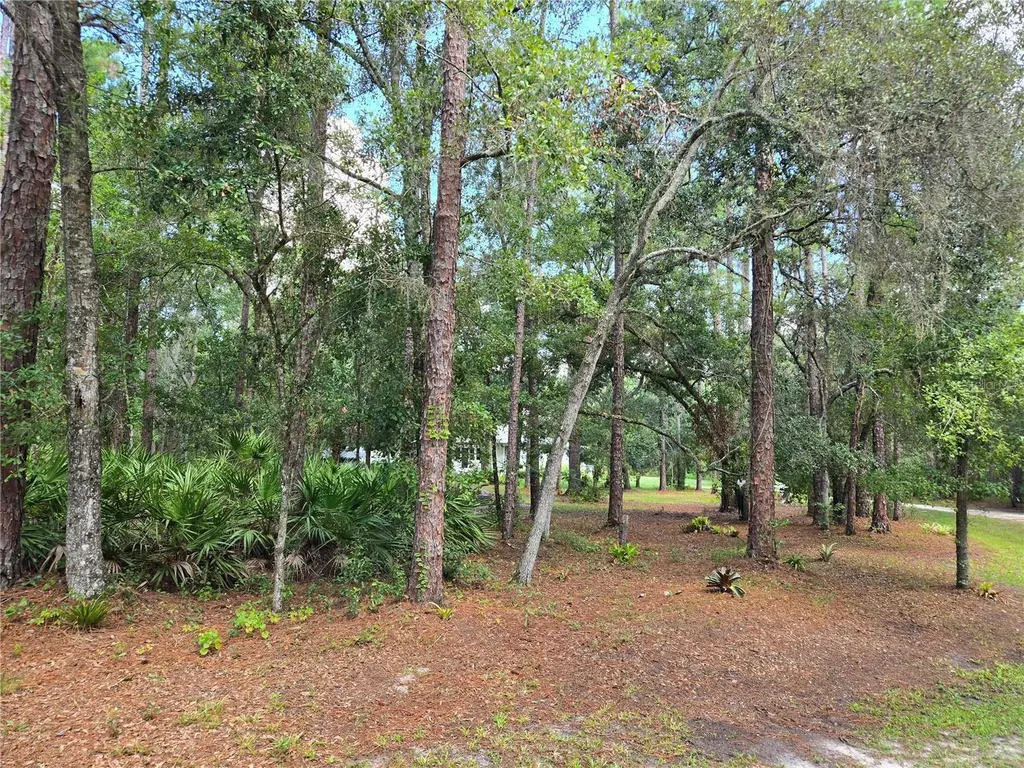 1633 Pioneer Drive Lakeland FL 33809