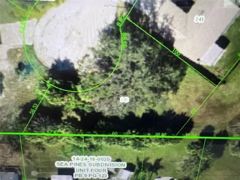 Caribbean Court Hudson FL 34667