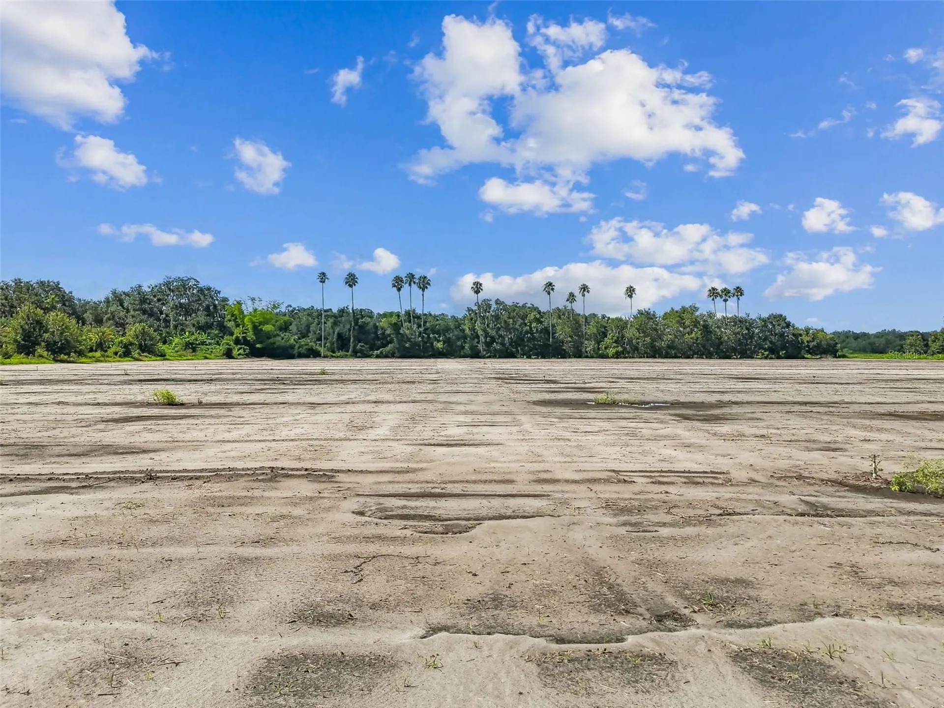 1715 W Sam Allen Road Plant City FL 33565