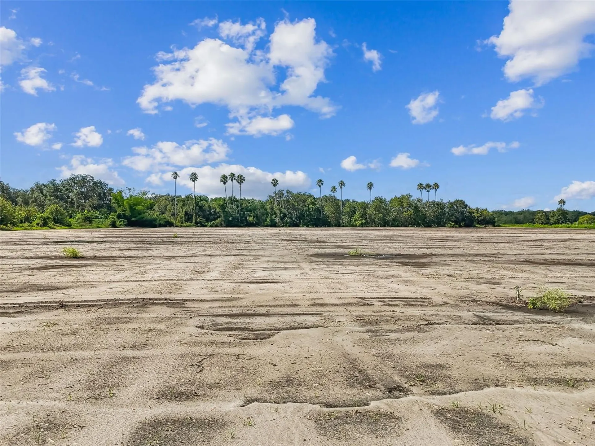 1715 W Sam Allen Road Plant City FL 33565