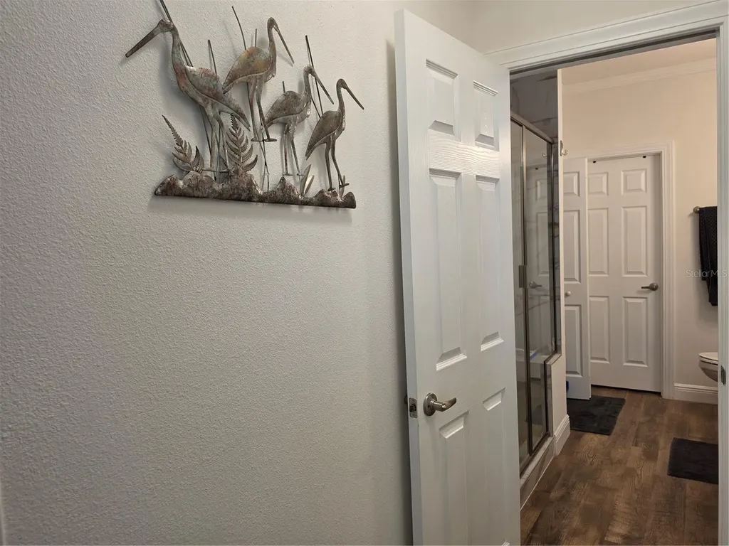 5330 Riverwalk Preserve Drive New Port Richey FL 34653