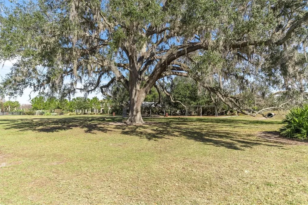 11855 Ranchers Gap Drive Odessa FL 33556